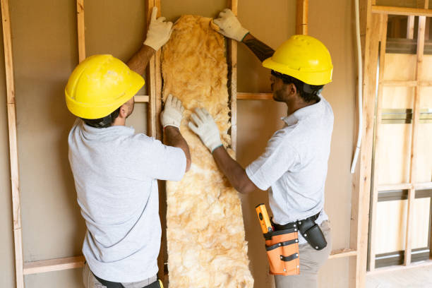 Best Local Insulation Services  in Carey, ID