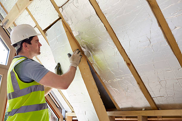 Best Wall Insulation Contractor  in Carey, ID