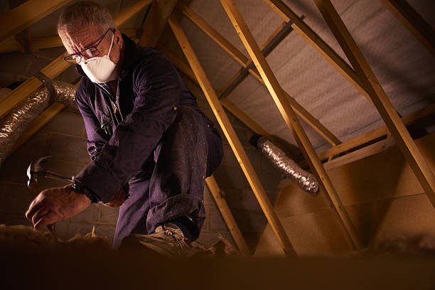 Best Insulation Removal  in Carey, ID